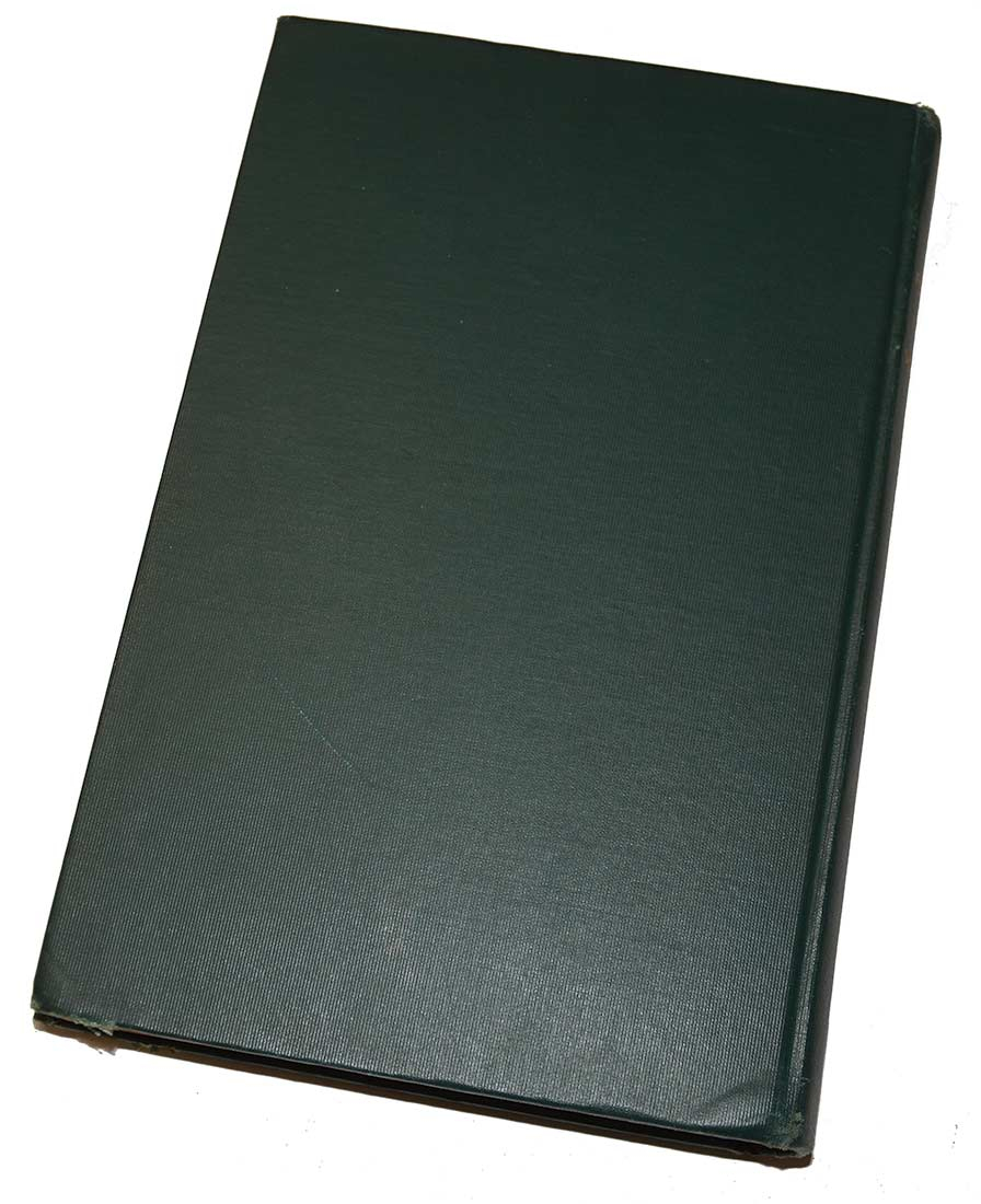 Image 6