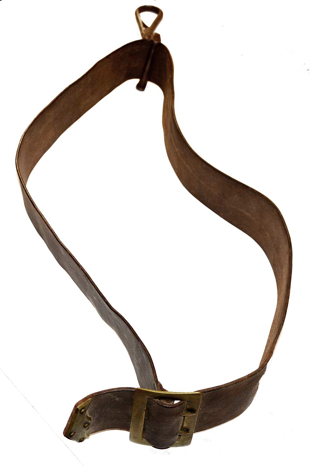 Image 7