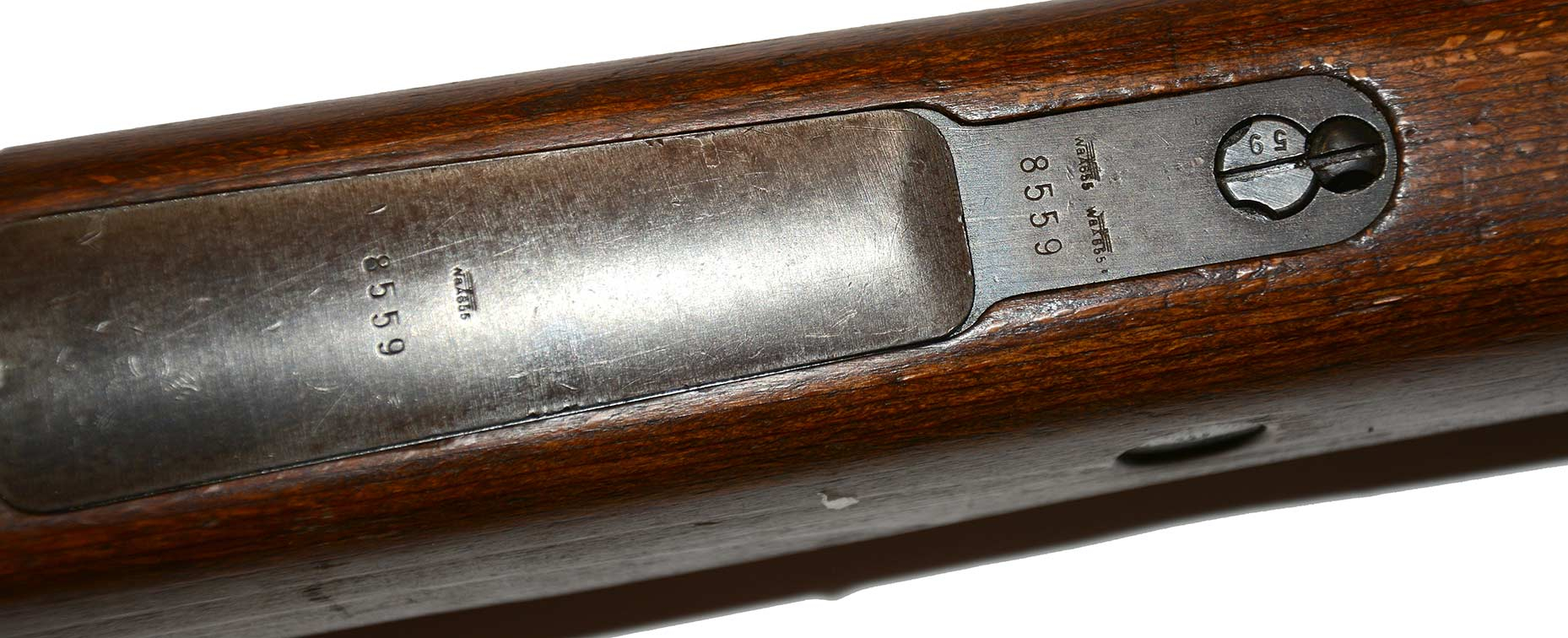 Image 8