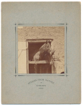 CABINET CARD PHOTO OF TWO HORSES