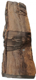 LARGE SECTION OF LOG WITH TWO EMBEDDED BULLETS, FROM LEE’S HEADQUARTERS AUCTION