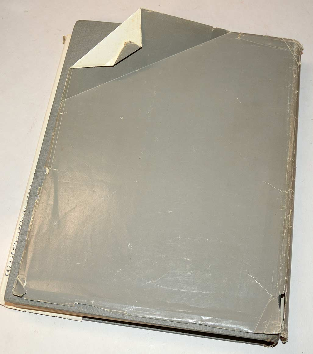 Image 6