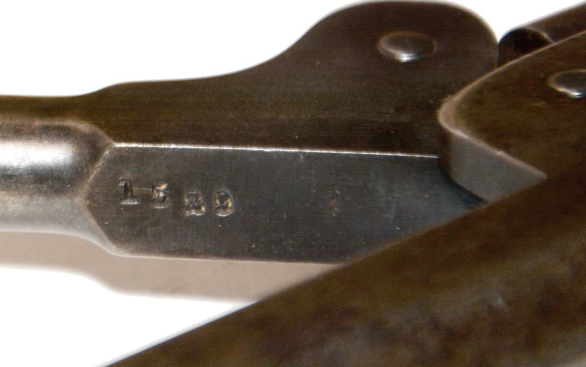 Image 15