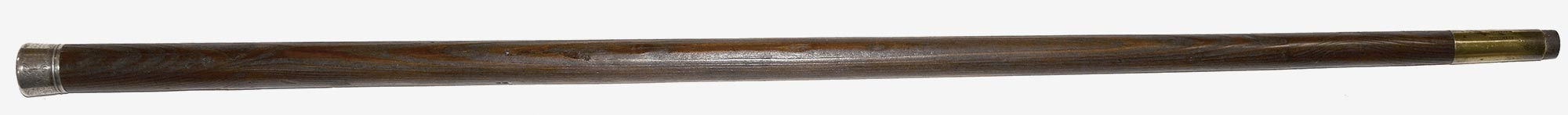 HISTORICALLY SIGNIFICANT SILVER MOUNTED SOUTH CAROLINA PRESENTATION CANE