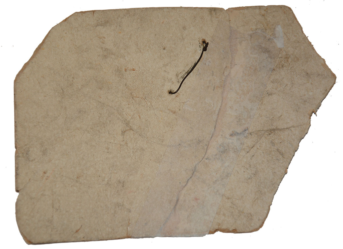 Image 7