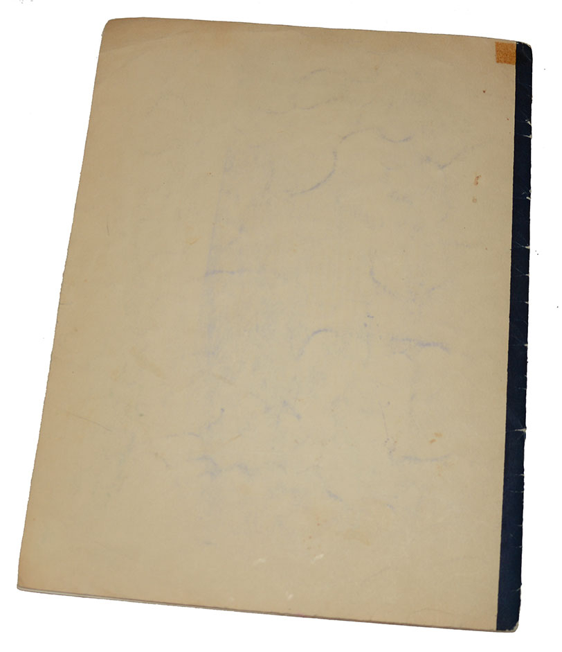 Image 5