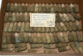 SPENCER CARTRIDGES RECOVERED AT U.S. FORD