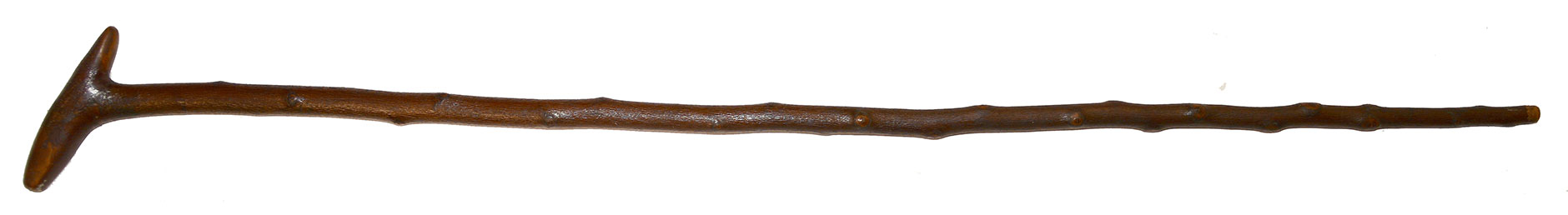 CANE MADE OF WOOD FROM DEVIL’S DEN