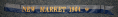 COLOR BATTLE STREAMER FOR THE BATTLE OF NEW MARKET