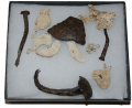 BOX OF RELICS RELATING TO BRITISH GENERAL BRADDOCK’S MARCH ON FORT DUQUESNE 1755