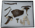 BOX OF RELICS RELATING TO BRITISH GENERAL BRADDOCK’S MARCH ON FORT DUQUESNE 1755