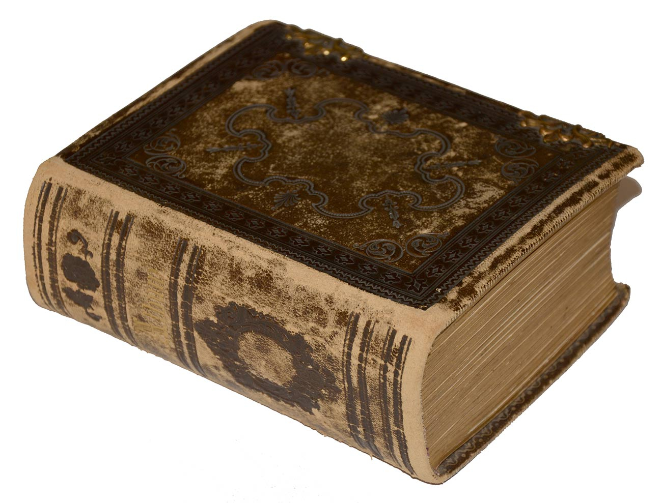 Image 4
