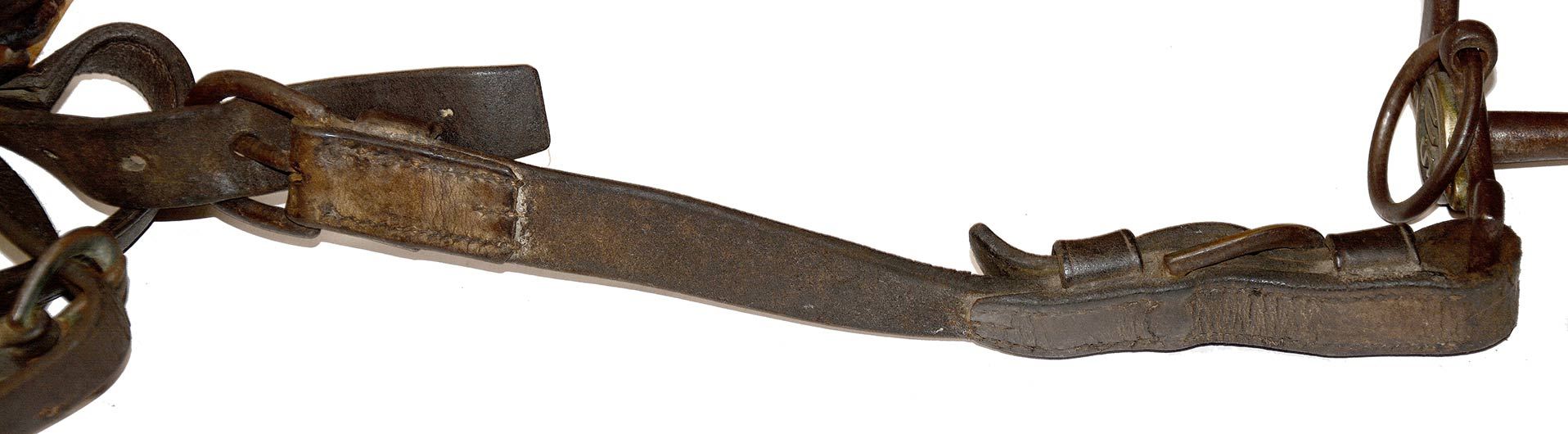 Image 8