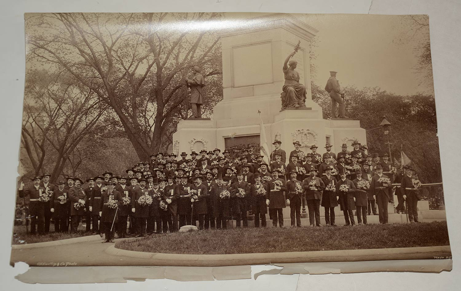 Image 15