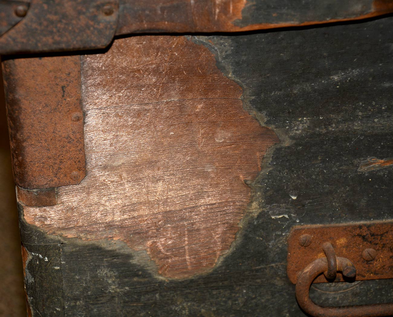 Image 8