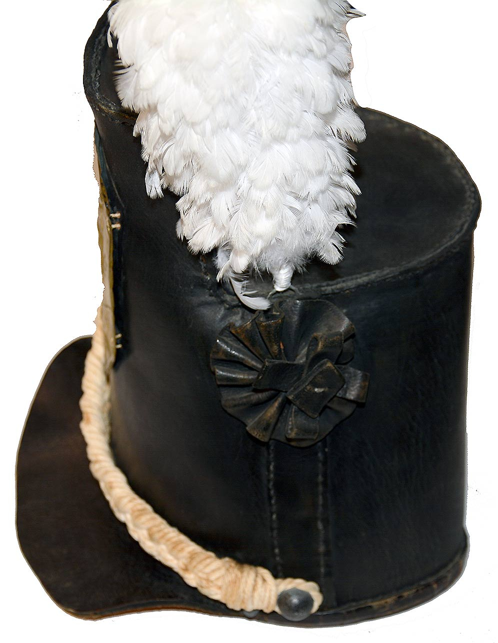 Image 7