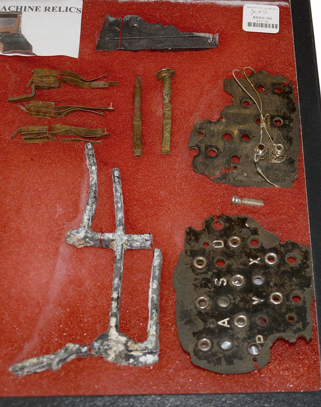 Image 5