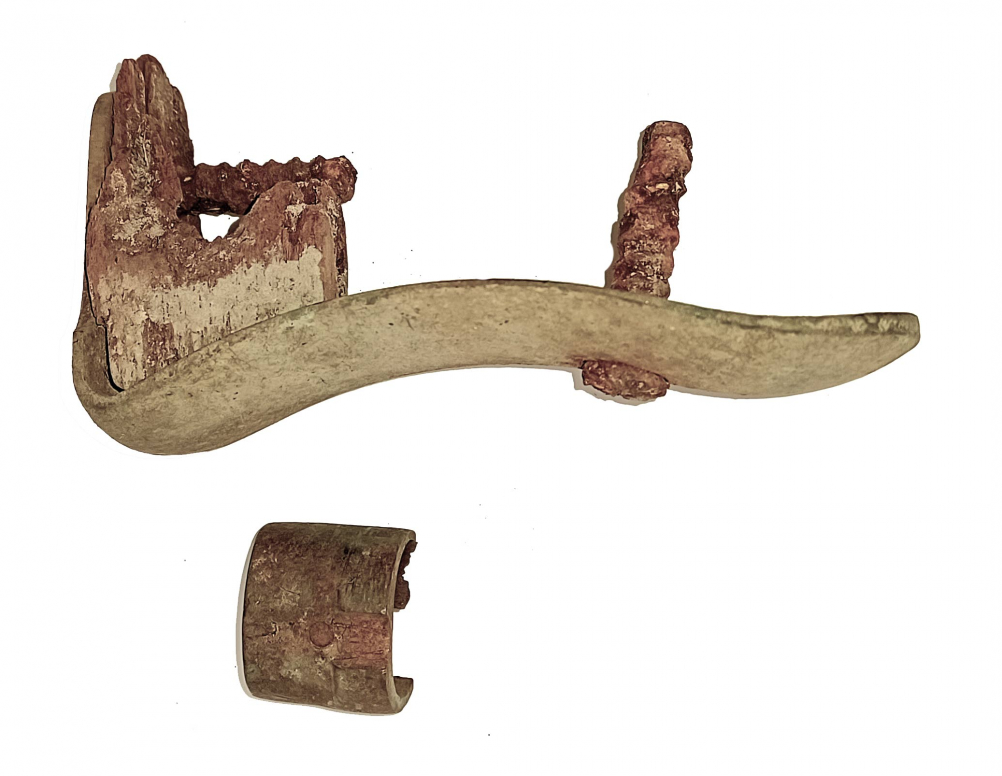 Image 8