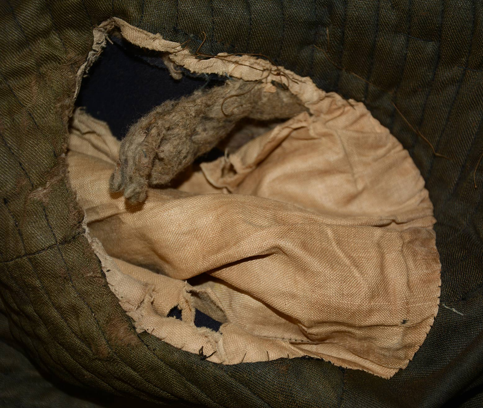 Image 12