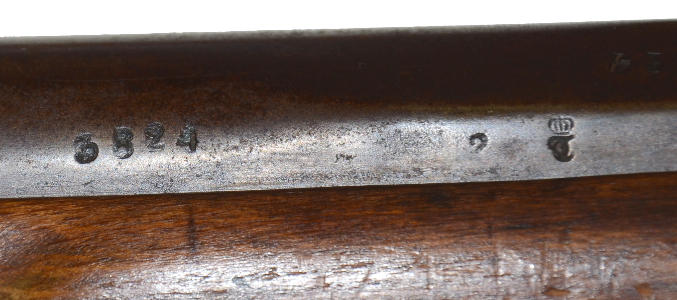 Image 13