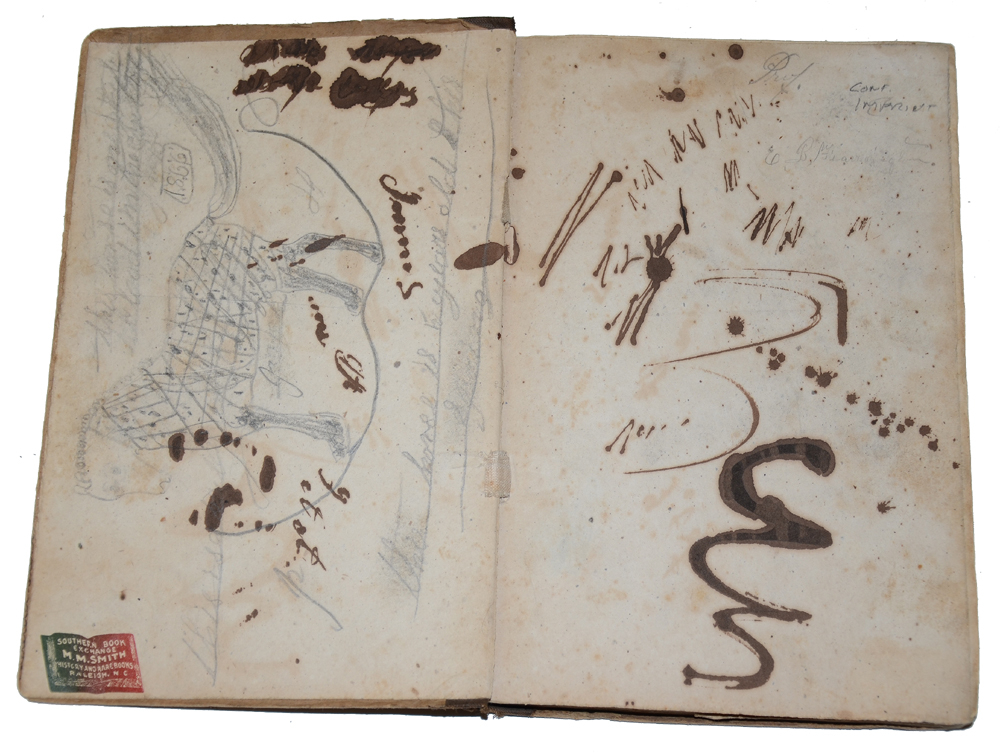 Image 3