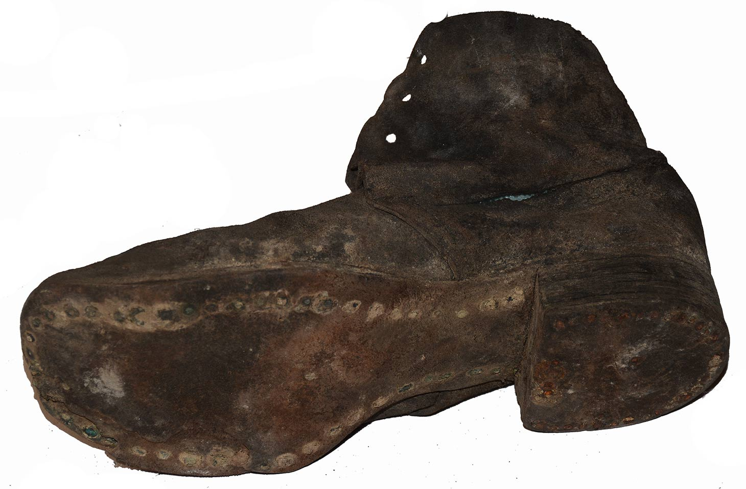 Image 7