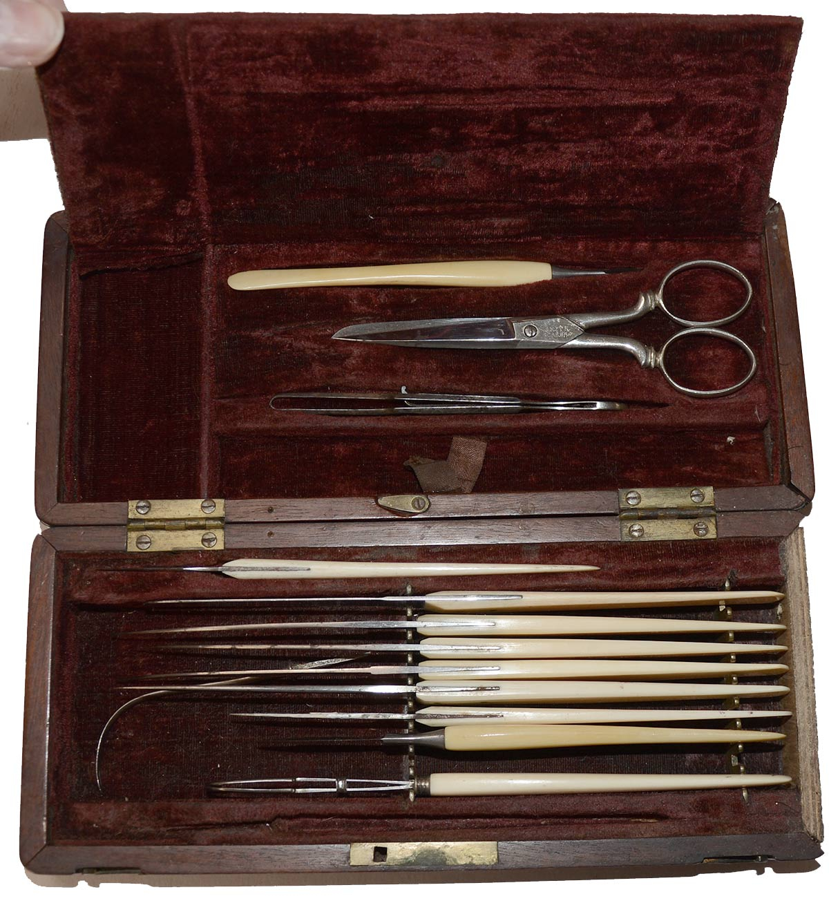 Image 3