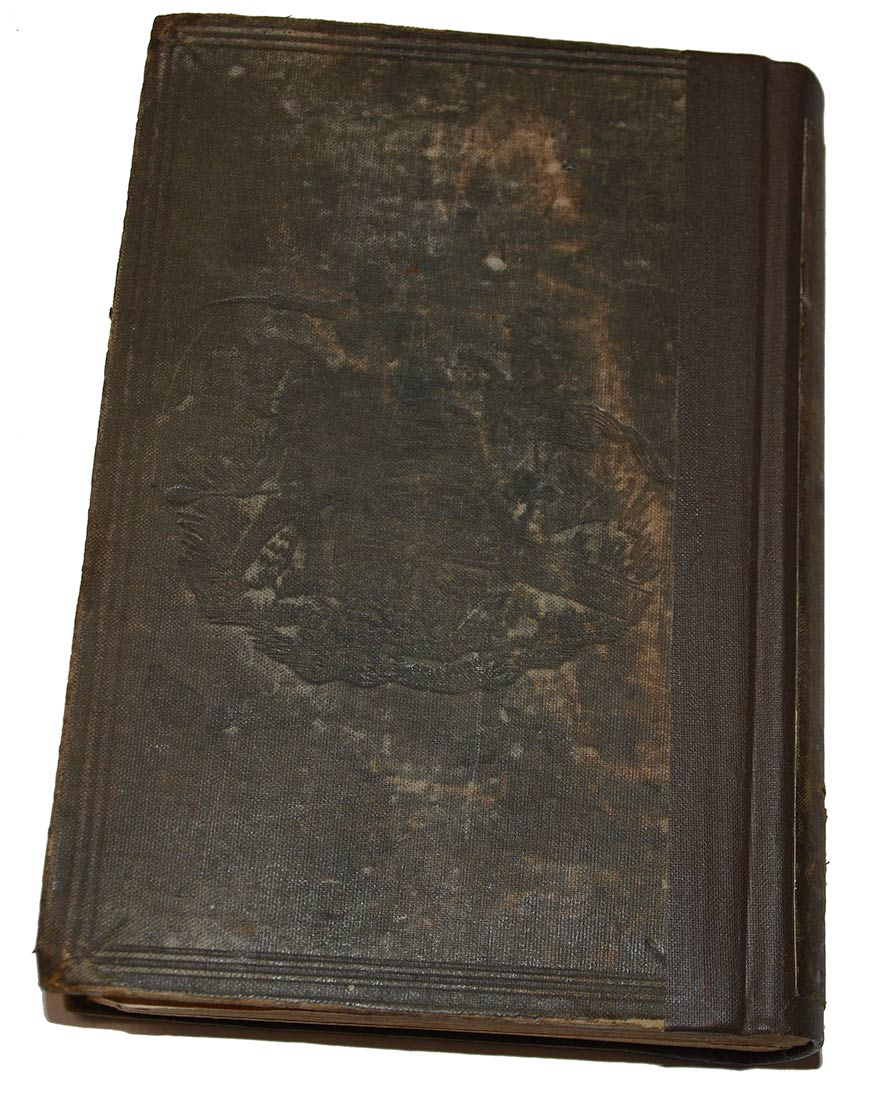 Image 10