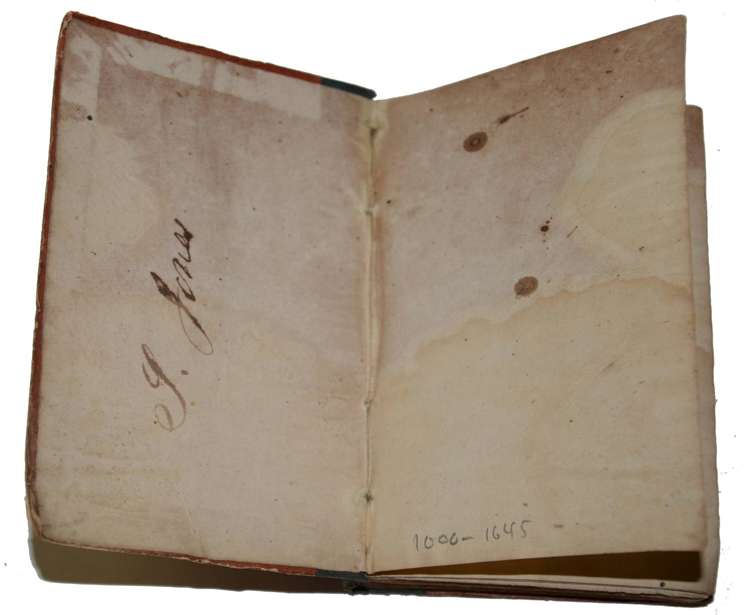 Image 3