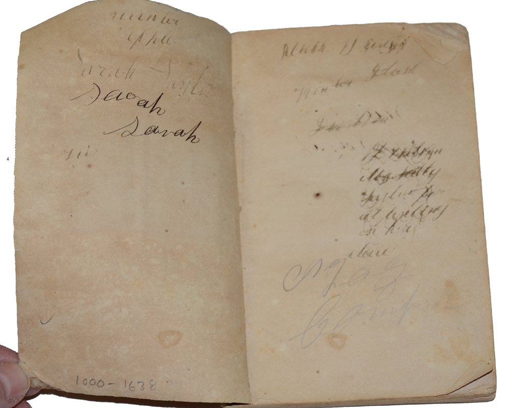 Image 3