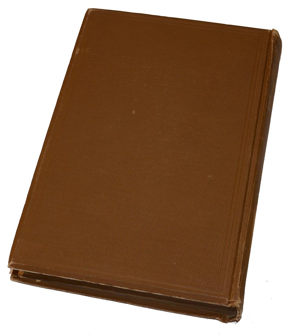 Image 7