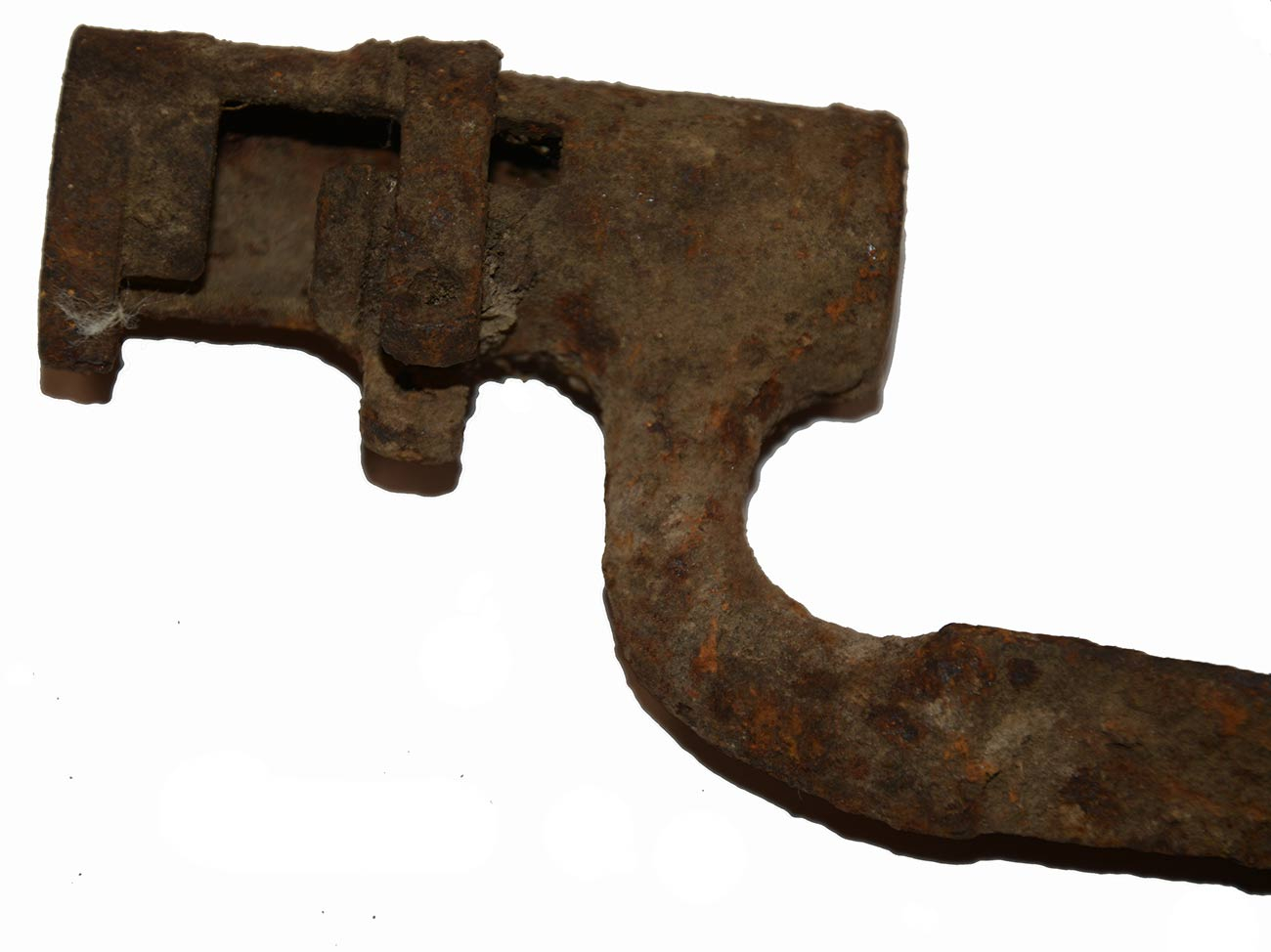 Image 4