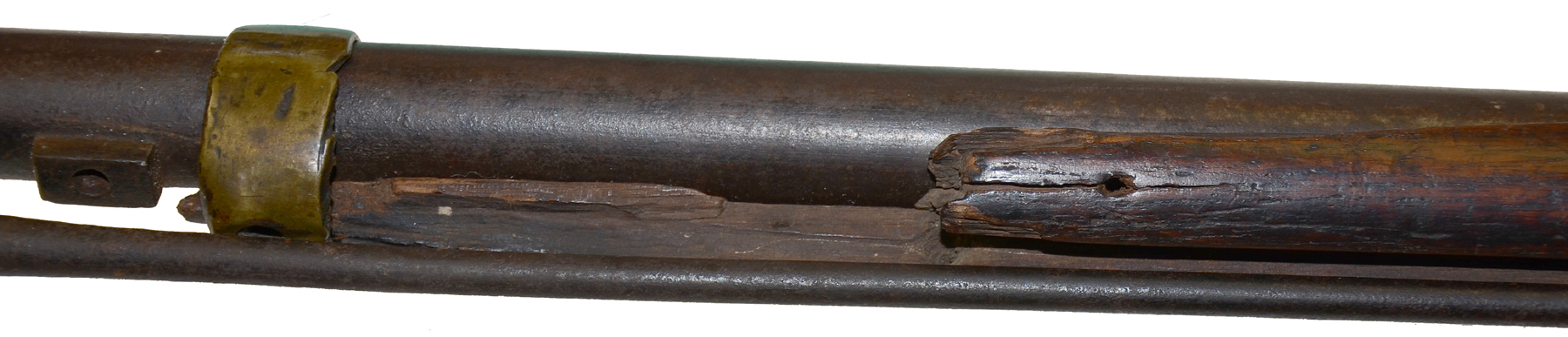 Image 19
