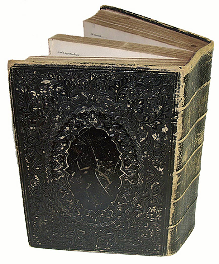 Image 3