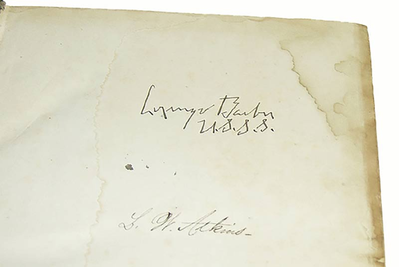 Image 5