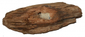 STAR IN BASE BULLET IN WOOD RECOVERED ON CULP’S HILL, GETTYSBURG