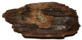 BULLET IN WOOD RECOVERED AT SHILOH