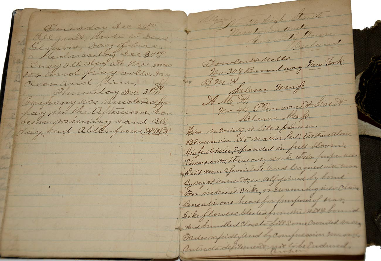 Image 7
