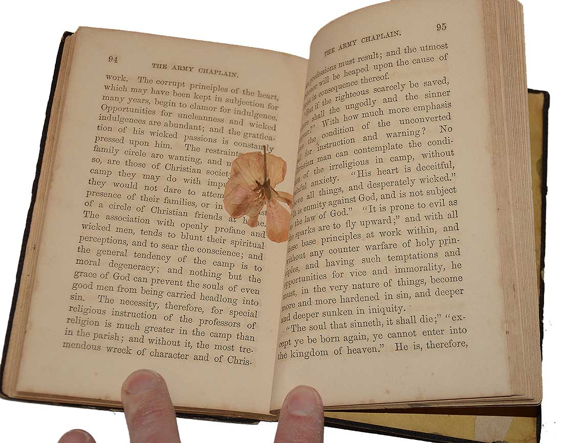 Image 5