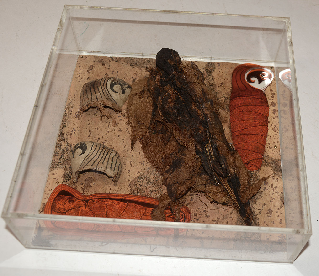 ANCIENT EGYPTIAN MUMMIFIED FALCON 