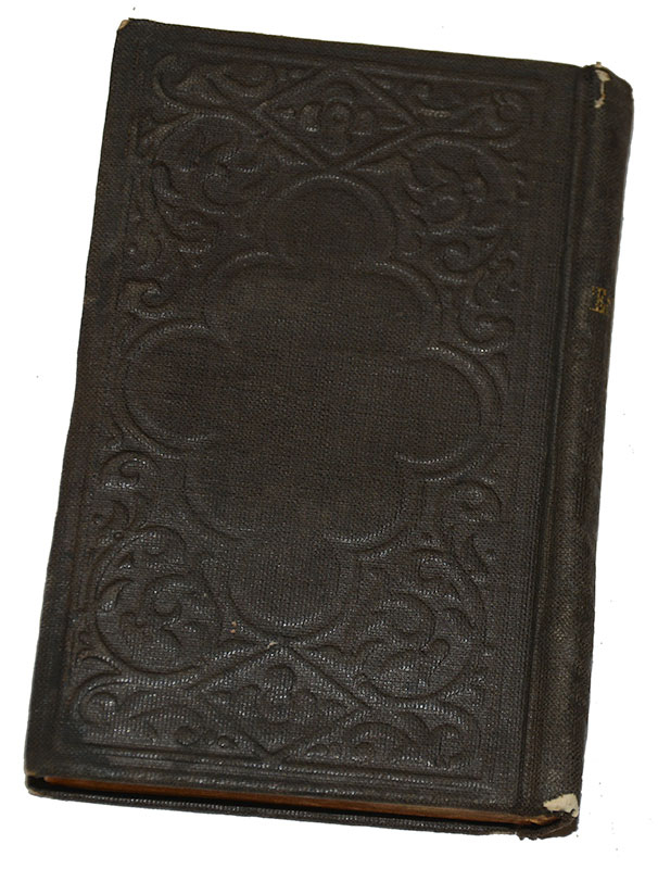 Image 7