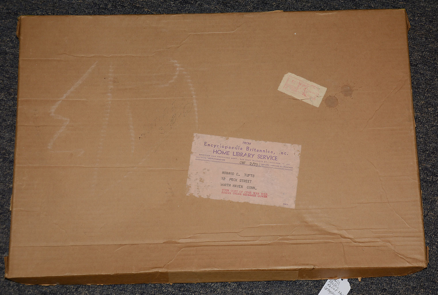 Image 5