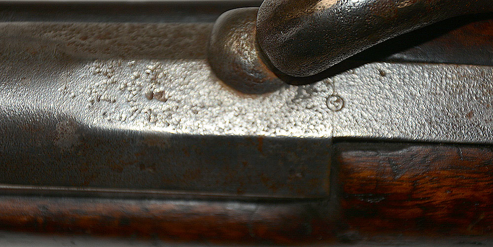 Image 16