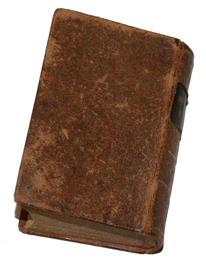 Image 8