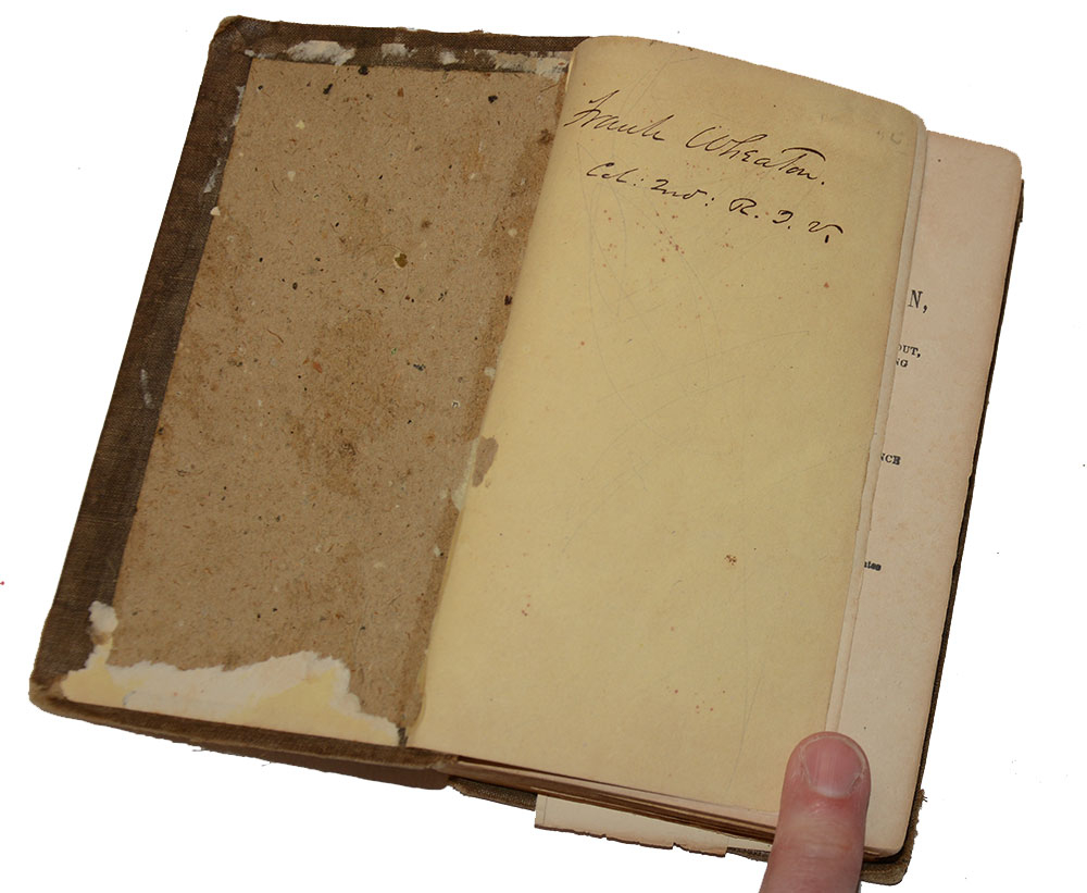 Image 3