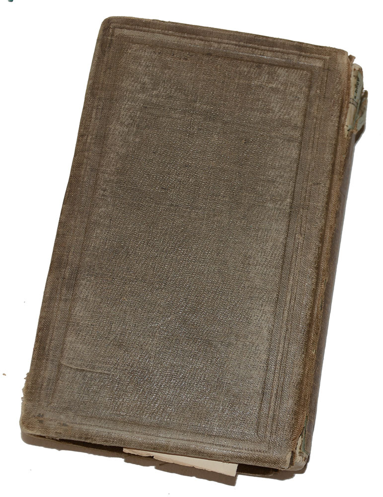 Image 6