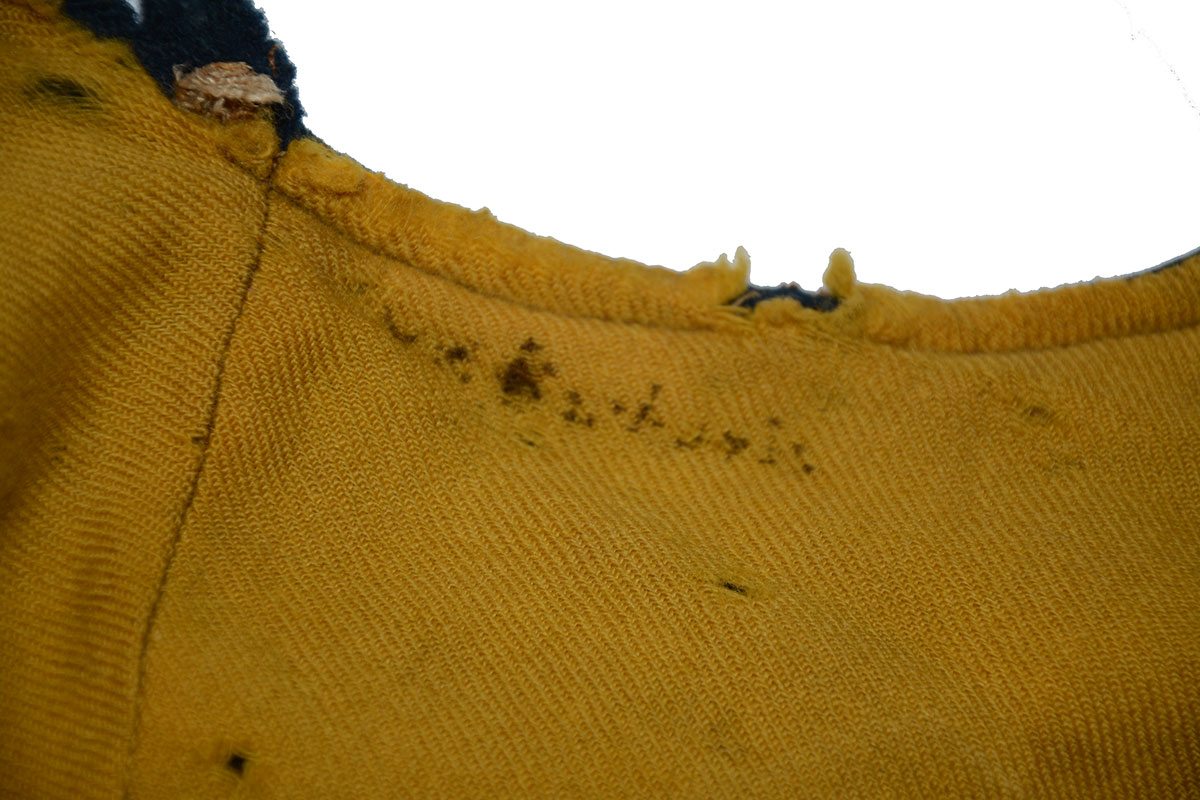Image 7