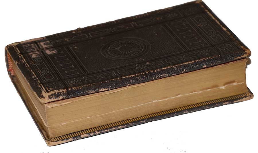 Image 7