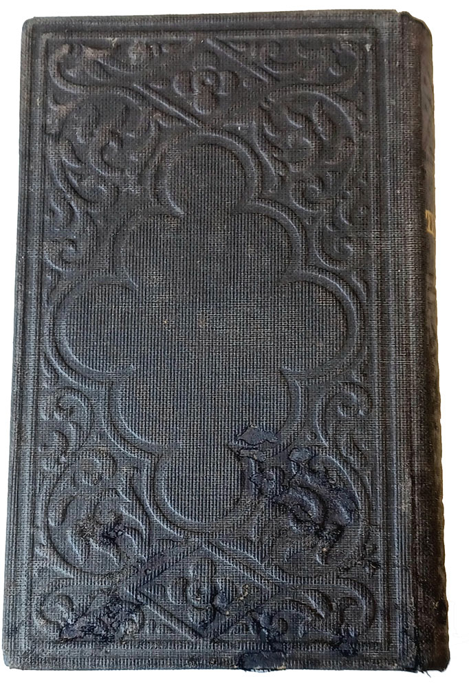 Image 7