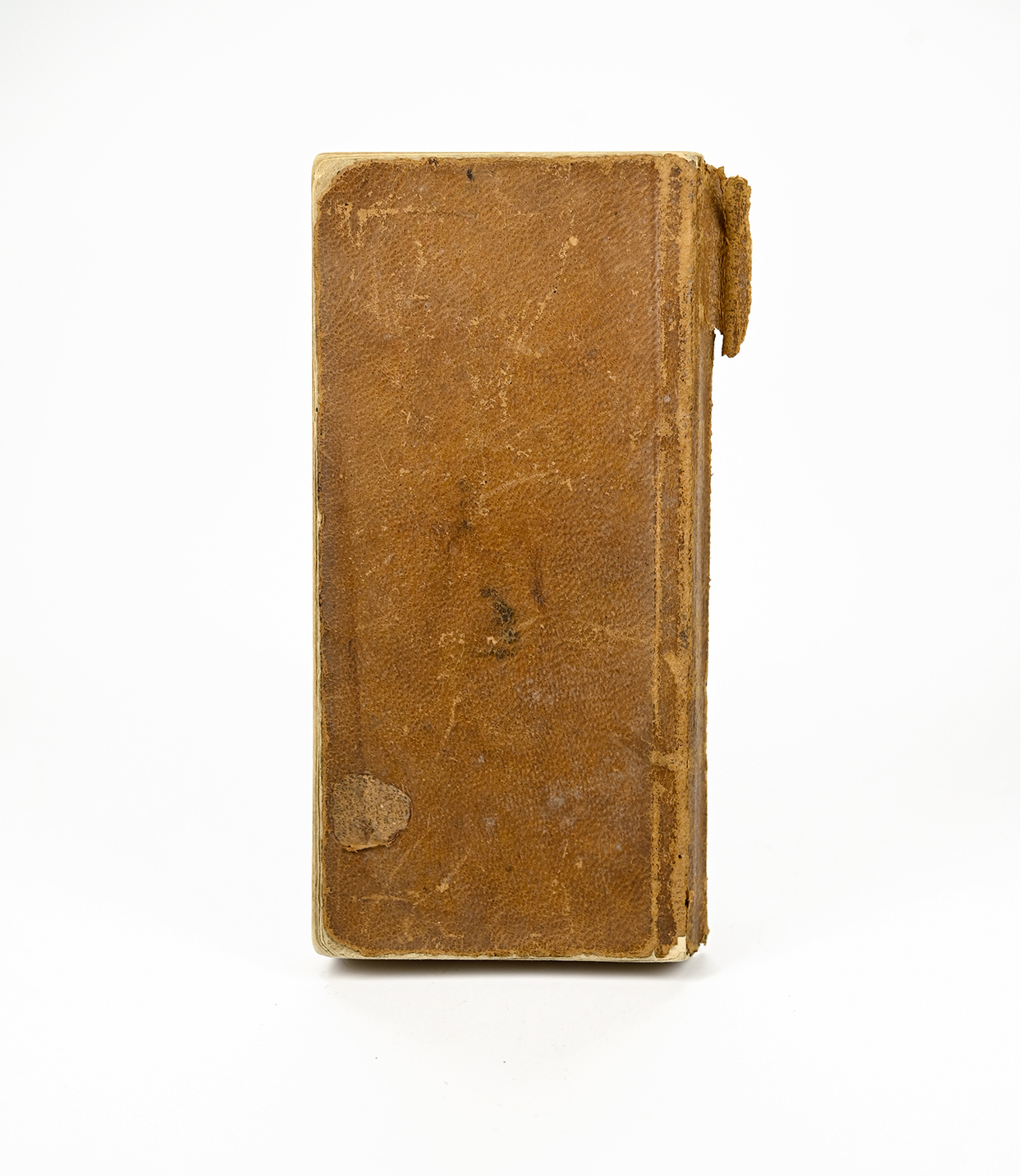 Image 24